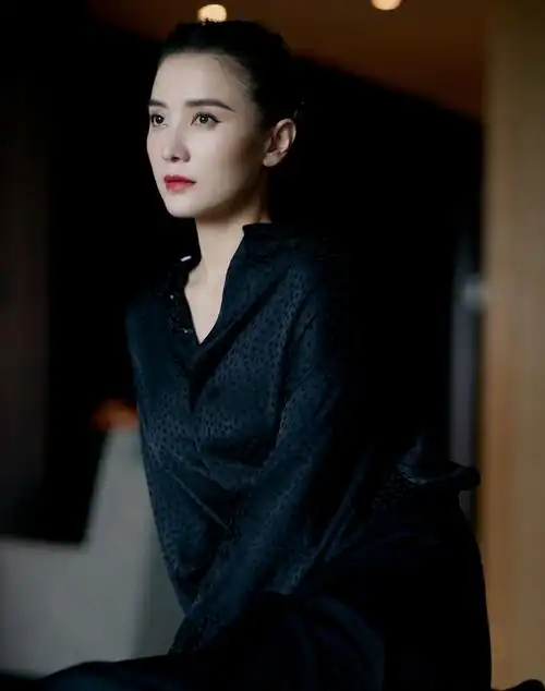 宋佳黑裙优雅知性写真图片28