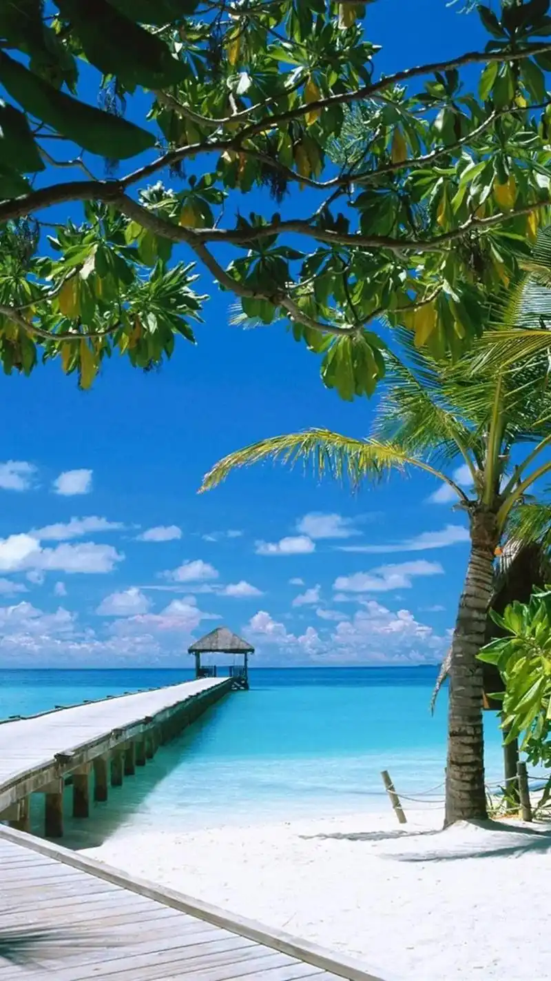 阳光,大海,沙滩,草裙,还有能歌 - 抖音