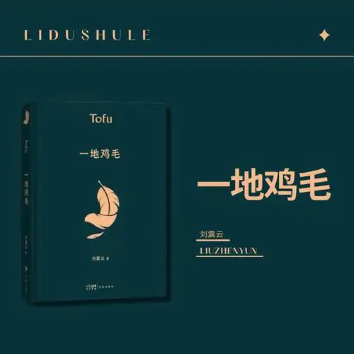 小李读书记一地鸡毛