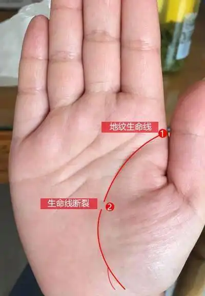2; 旺财纹:如果掌纹生命线起端内侧长有长条纹,手相旺财纹就是典型的