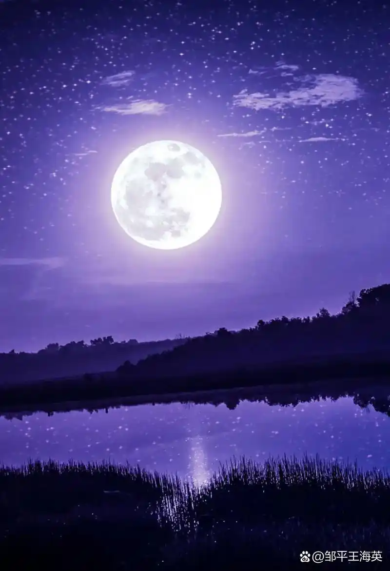 这一天的月亮格外明亮,就像一面硕大的银盘悬挂在天空,让人倍感温馨.