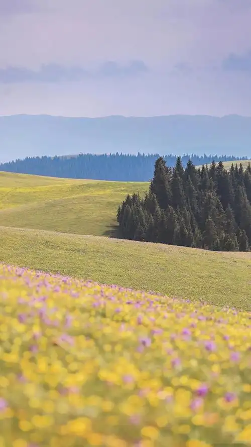 治愈系唯美田园风光小清新风景手机壁纸大全专辑套图