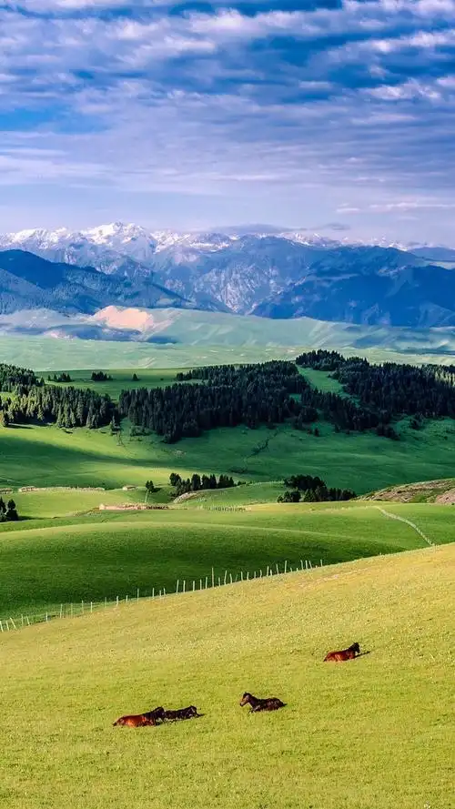 旅游是为了心灵的释放