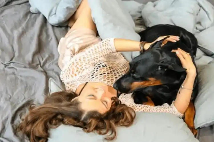 为啥城市女生更爱养大狗难道有啥小秘密看完你还别不信