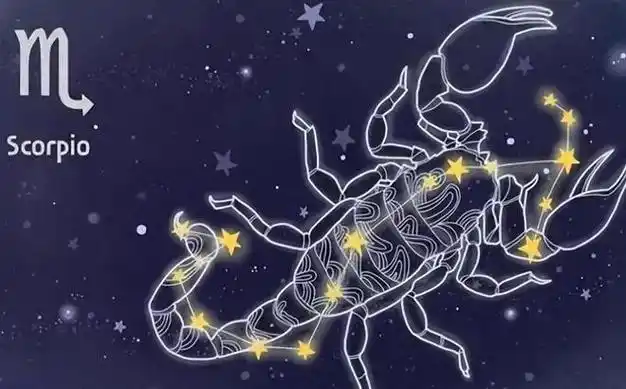 一旦冷漠,心便难再热-四大星座的情感冷却之路|爱情|水瓶座|狮子座