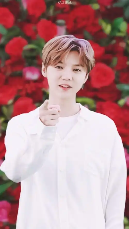 鹿晗# 欧舒丹. - 高清图片,堆糖,美图壁纸兴趣社区