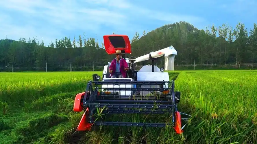 稻谷机 - 热门商品专区