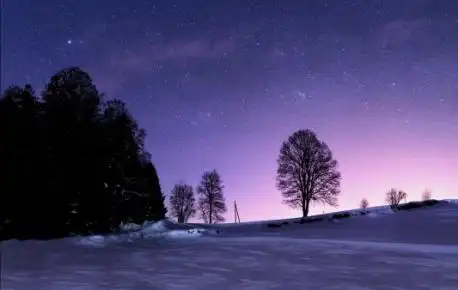 海棠唯美古风女子4k壁纸