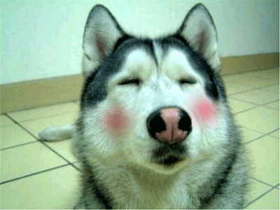 脸红gif羞涩gif萌萌哒gif羞涩gif