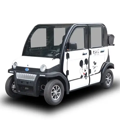 知丁大阳款电动四轮车成人铁壳四轮电动车全封闭车新能源汽车轿车