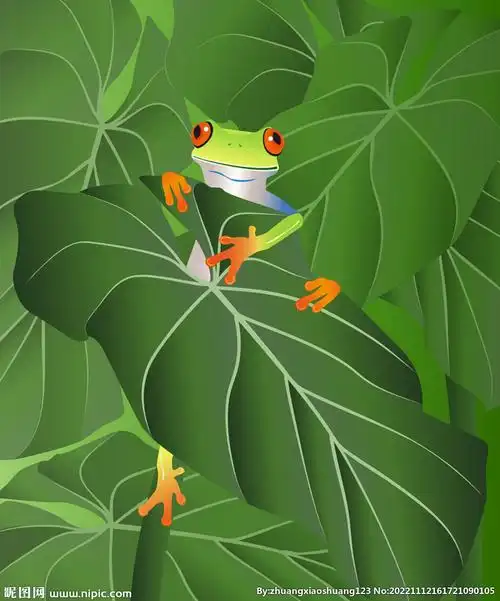 青蛙插画设计图__风景漫画_动漫动画_设计图库_昵图网nipic.com