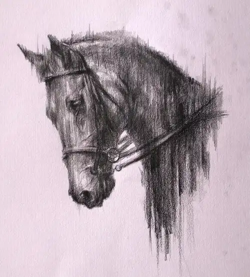 纸上素描 20cmx20cm