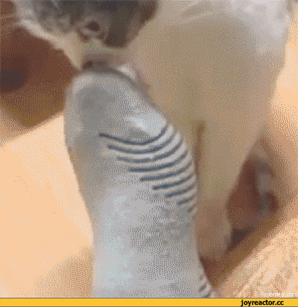 春日cityhappy计划##搞笑