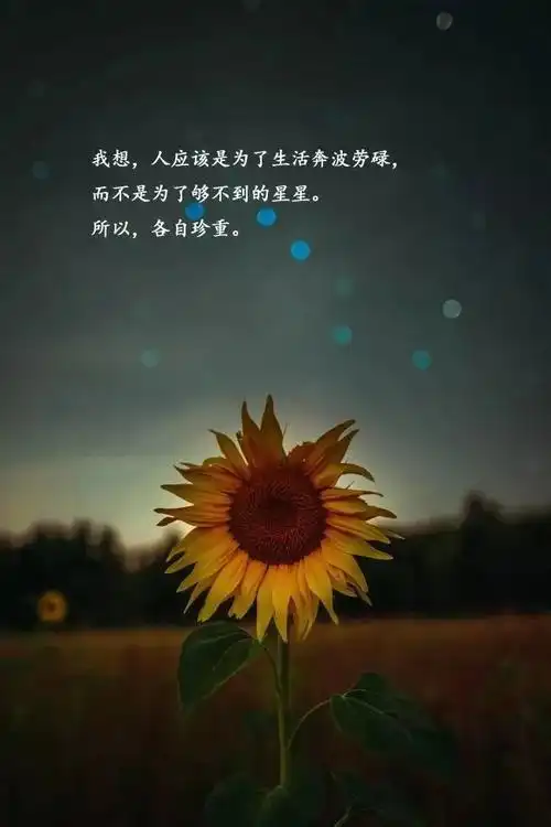 2021暖人心窝的经典语录句句走心挑一句话致自己