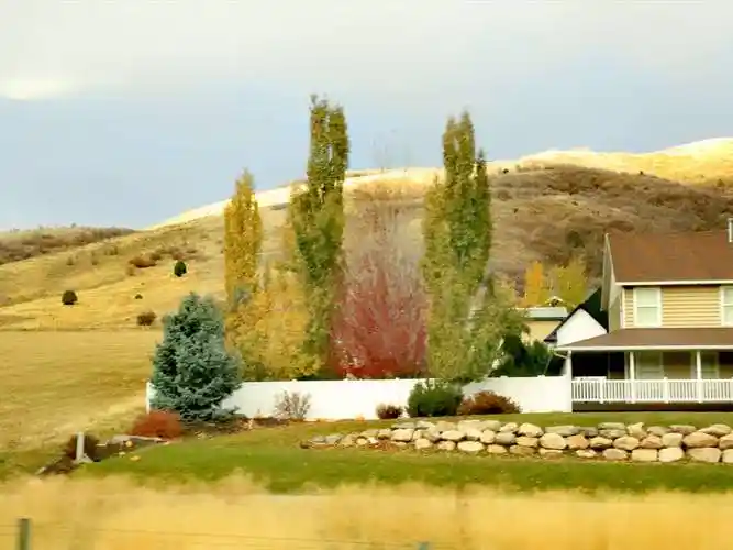 美国西中部游(下)一秋色之美