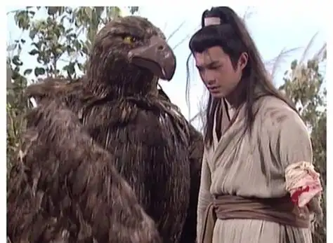 的宠物大雕,在独孤求败的剑冢中,杨过发现了独孤求败埋的几把用过的剑