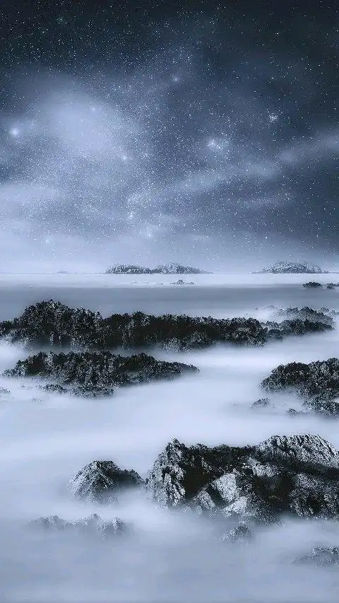 长大了 - 泡泡水族