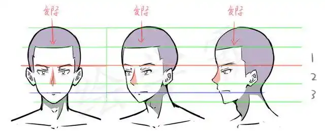 绘学霸:关于人体头部的概括以及三庭五眼到底是什么? zhuanlan.zhihu.