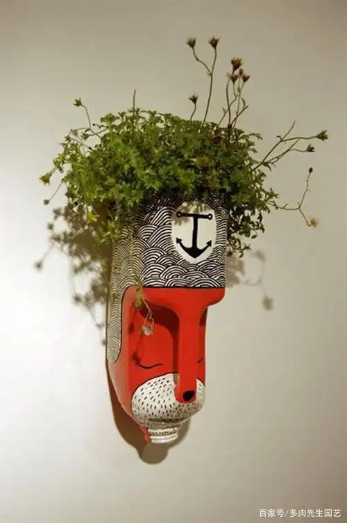 牛奶瓶,变身美女花盆