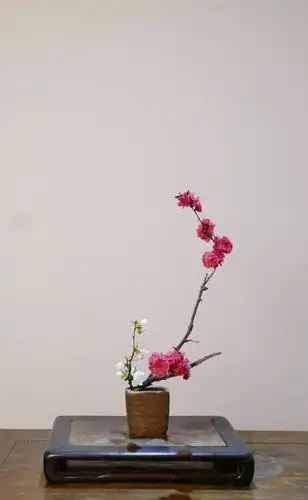 中国意境:瓶里插支花