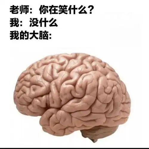 沙雕梗图(37)当你试图讲一个不冒犯任何人的笑话|神吐槽_网易订阅