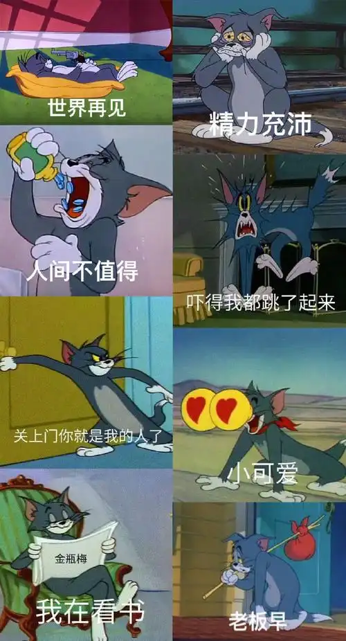 一组超搞笑的猫和老鼠表情包 zt