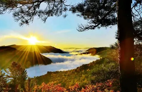 秋季出游领略大自然的美景——仙翁山五花山