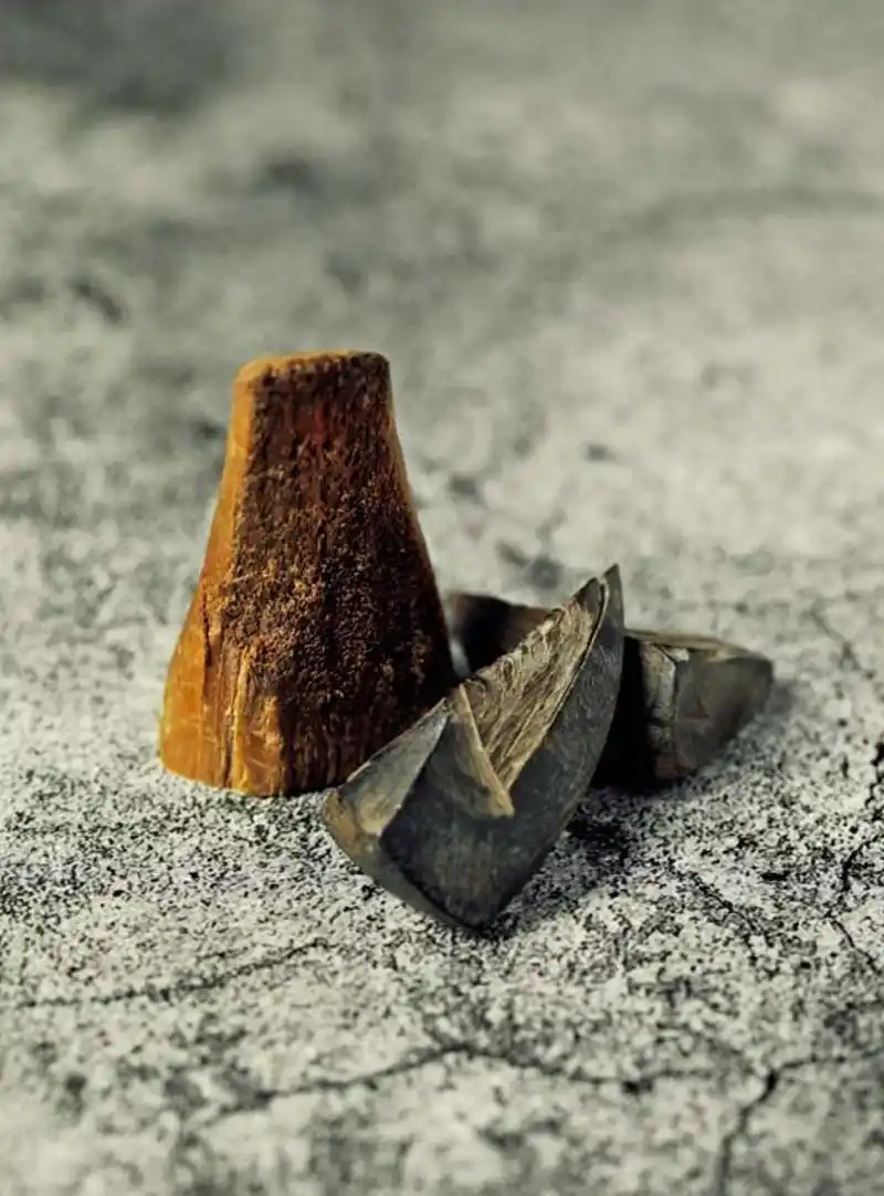 如今,犀牛角已经被禁用了.  广西师范大学出版社 图