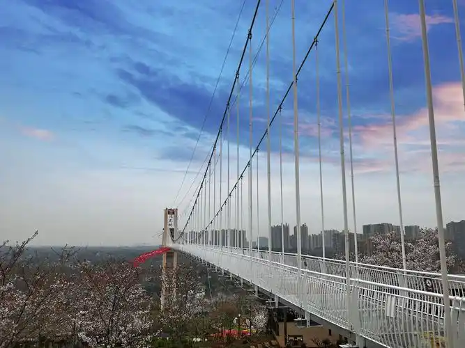 酷炫网红玻璃桥惊现新都漫花庄园