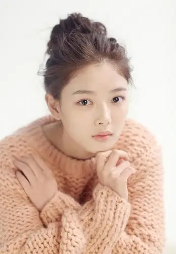 疑似喻言过往不当言论引争兼克罗地亚职议 经纪公司发