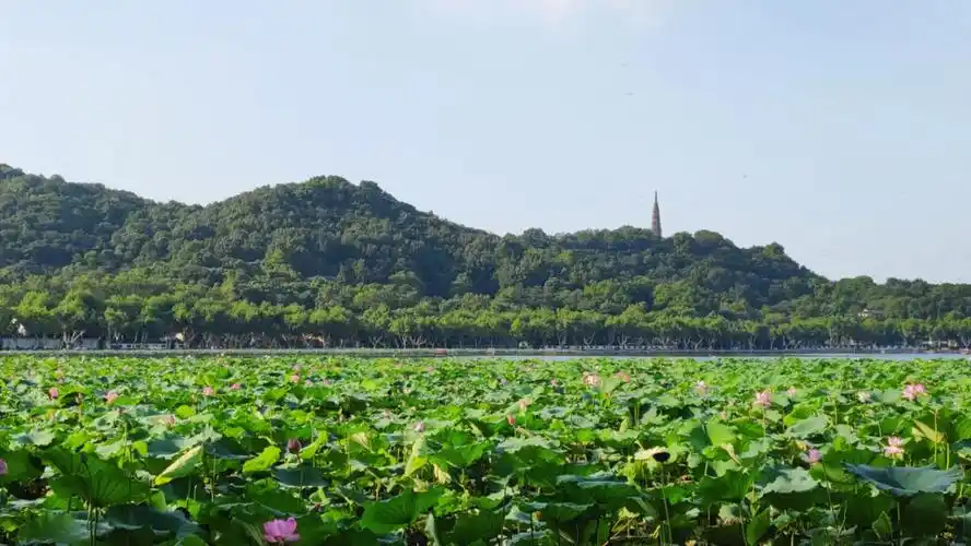 钱塘游记杭州西湖