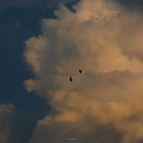 月亮也偷偷钻进了云的怀里背景图wallpaper|cr:@小羊憨批