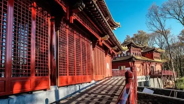 为了迎接滚滚,荷兰人民造了幢5000万的中式宫殿