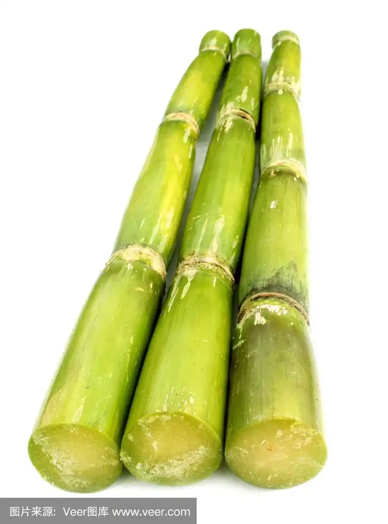 鲜绿的甘蔗