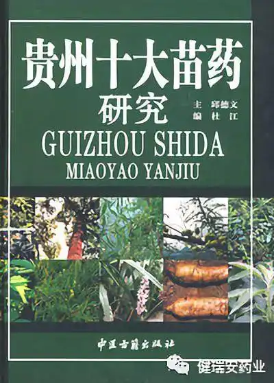 千年苗医 万年苗药---复方双花咀嚼片