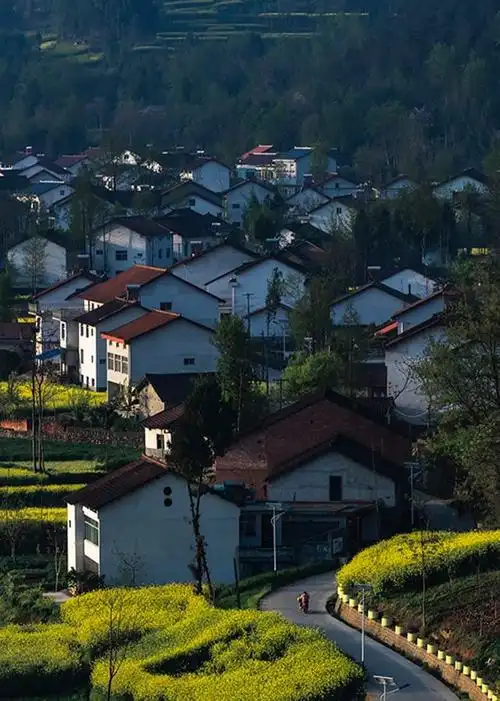 农村新面貌画画 新农村新风貌主题画-图片大观-奇异网