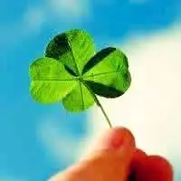 清新好看四叶草头像