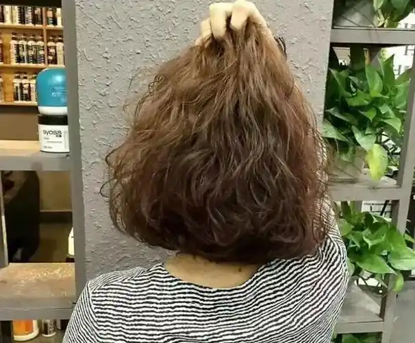 新年流行泰迪卷