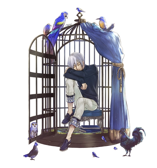 p站美图推荐——笼中鸟特辑