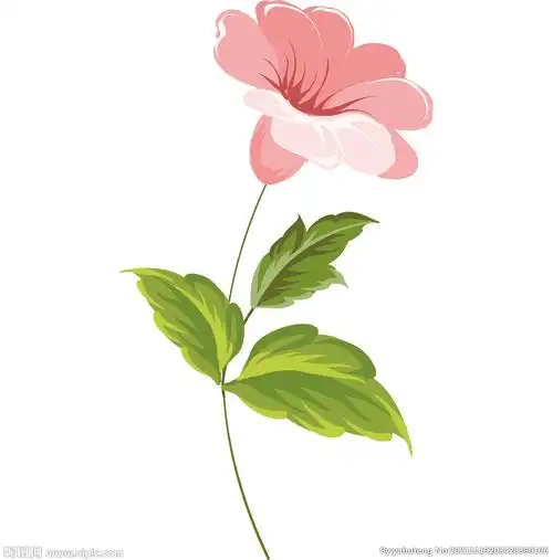 红色的手绘花朵喇叭花图片