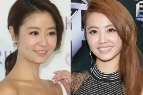 林心如和蔡依林