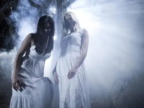 西方人,两个人,站,横图,室外,夜晚,正面,裙子,树林,植物,欧洲,欧洲人