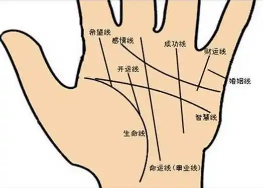 通过生命线看人的体质健康和寿命