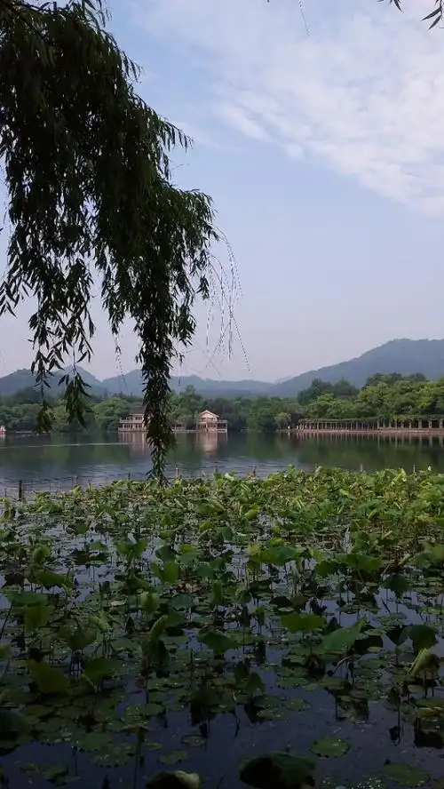 西湖属于哪个省(浙江省杭州市西湖风景名胜区)