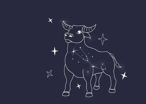原创手绘十二星座金牛座描线插画