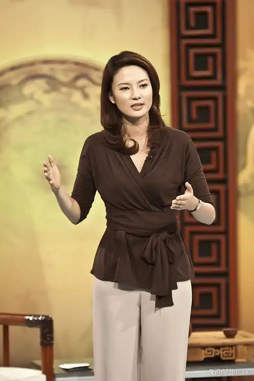 央视十大美女主持人:传承与进化的光辉篇章