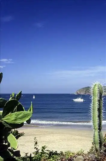 海滩,仙人掌,计划,游艇_高清图片_全景视觉