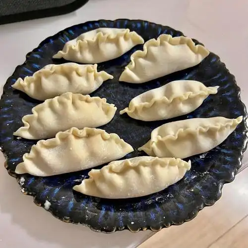 谁能拒绝这么可爱的饺子09