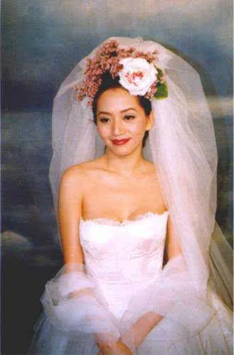 梅艳芳最后时光:需要扯出肿瘤才能如厕