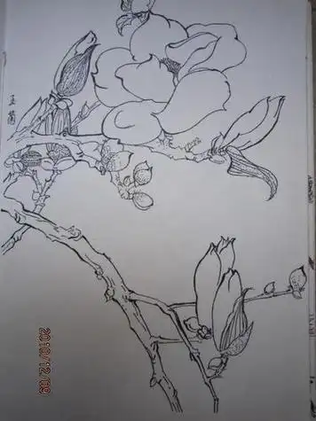初中美术简笔画简单